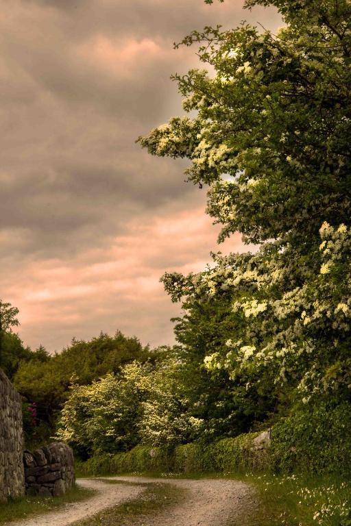 The Waters Country House Ballyvaughan Bagian luar foto