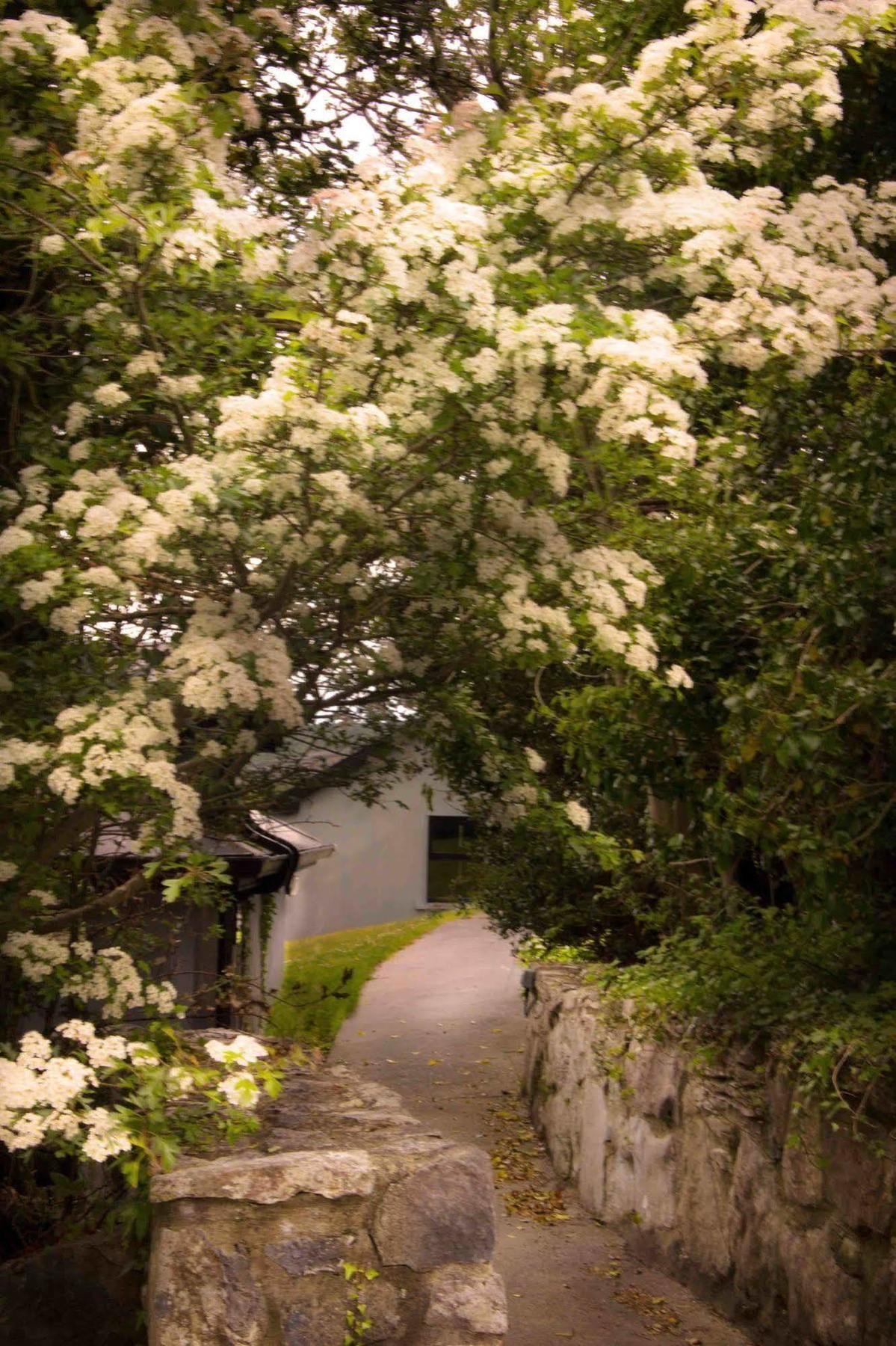 The Waters Country House Ballyvaughan Bagian luar foto